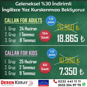 ingilizce kursu yaz okulu izmir